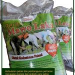 11201008_636662566463818_1995804676085922634_o