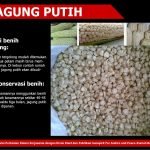 12473620_735052296624844_7898439450487156063_o