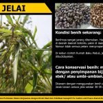 12604912_735052129958194_1418484936763258330_o