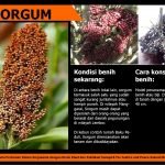 12615749_735027029960704_6964268680665892419_o