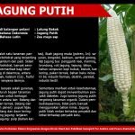 12622293_735052309958176_251322134481784748_o