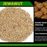 12622308_735051919958215_1100744803047052392_o