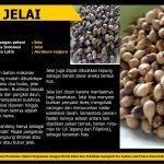 1397221_735052119958195_8281993900569303559_o