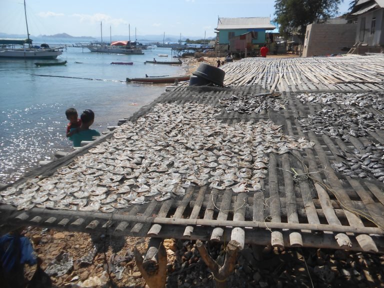 (Bagian 1) Suara dari Taman Nasional Komodo