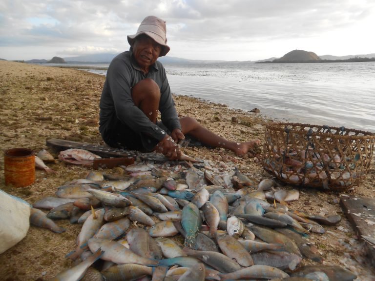 (Bagian 3-Penutup) Suara dari Taman Nasional Komodo