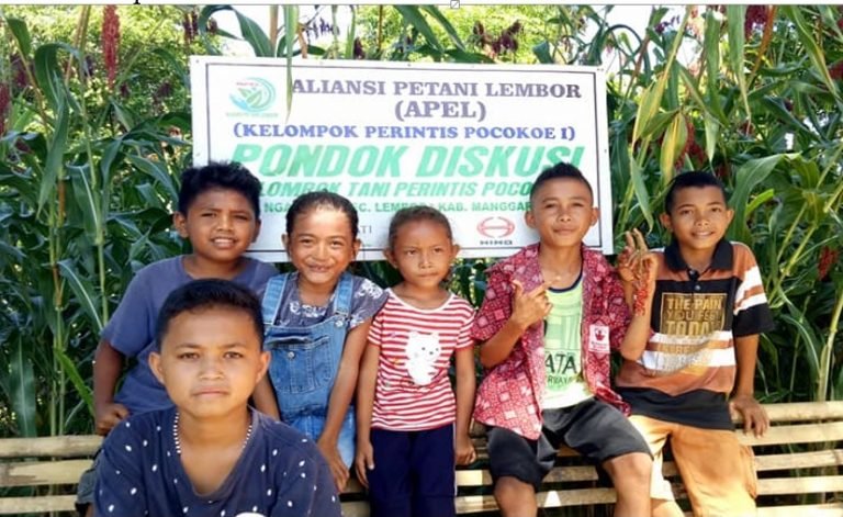 Pembangunan, Depolitisasi Demokrasi dan Resistensi Petani Manggarai-Flores Barat