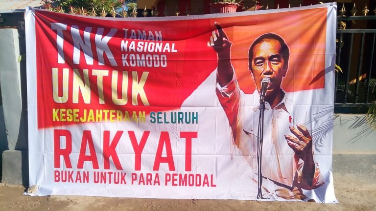 Jokowi dan Babak Baru Perizinan Investasi dalam  Kawasan Taman Nasional Komodo