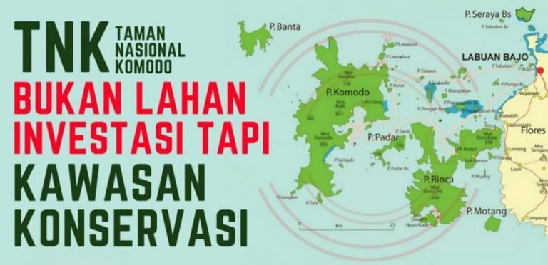 Komodo dan peringatan UNESCO: Mengapa pegiat khawatir dampak pariwisata di Taman Nasional Komodo?