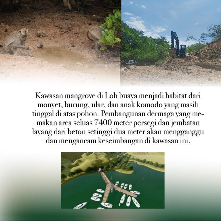 Protes Kelola Wisata TN Komodo, Mereka Kirim Surat ke Badan Kebudayaan dan Lingkungan PBB