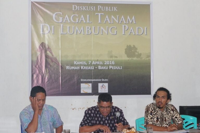 Gagal Tanam di Lumbung Padi: Petani Lembor Pertanyakan Janji Produktivitas